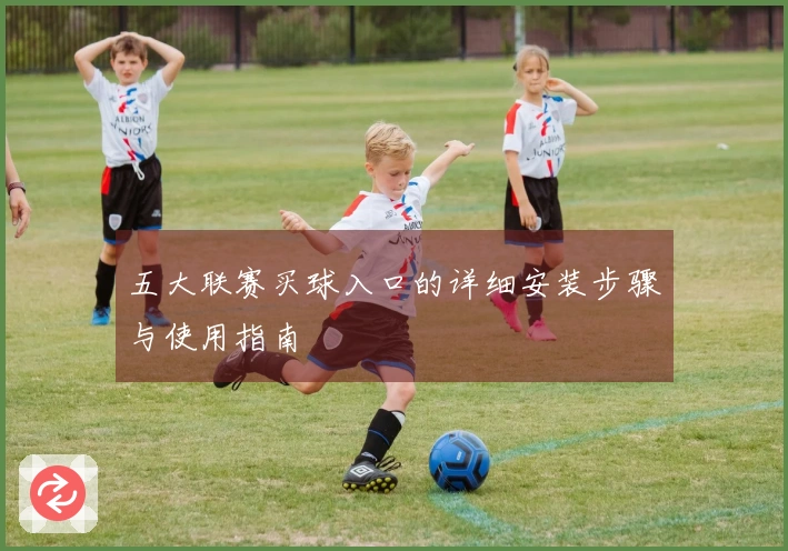 五大联赛买球入口的详细安装步骤与使用指南