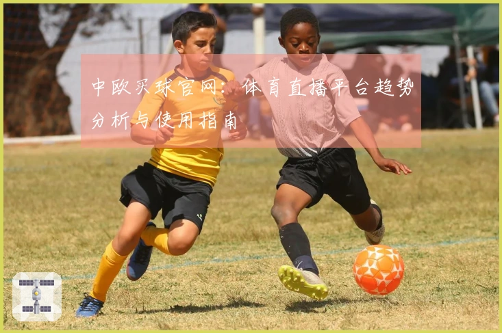 中欧买球官网：体育直播平台趋势分析与使用指南