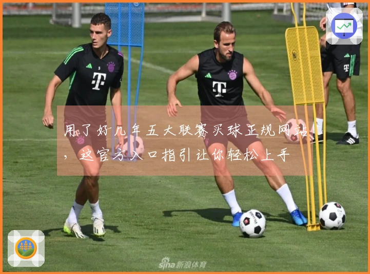 用了好几年五大联赛买球正规网站，这官方入口指引让你轻松上手