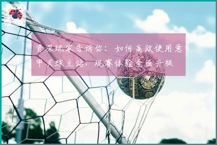 资深玩家告诉你：如何高效使用意甲买球主站，观赛体验全面升级