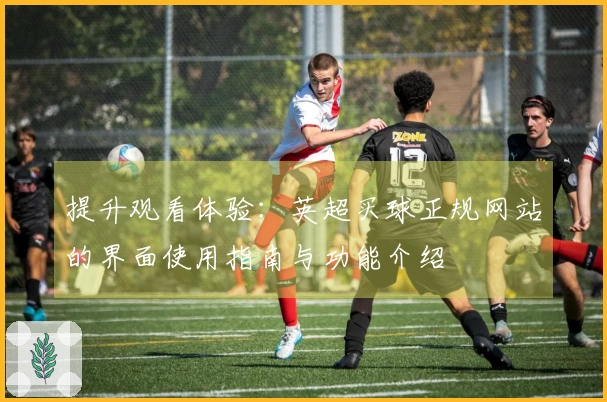 提升观看体验：英超买球正规网站的界面使用指南与功能介绍