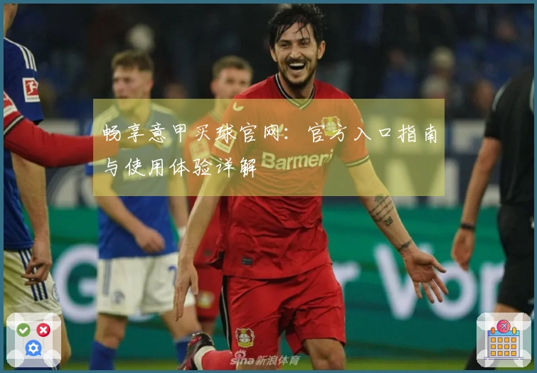 畅享意甲买球官网：官方入口指南与使用体验详解