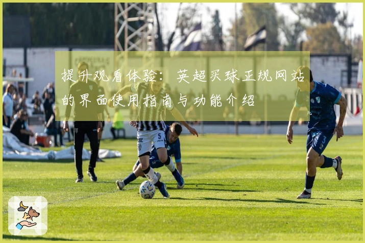 提升观看体验：英超买球正规网站的界面使用指南与功能介绍