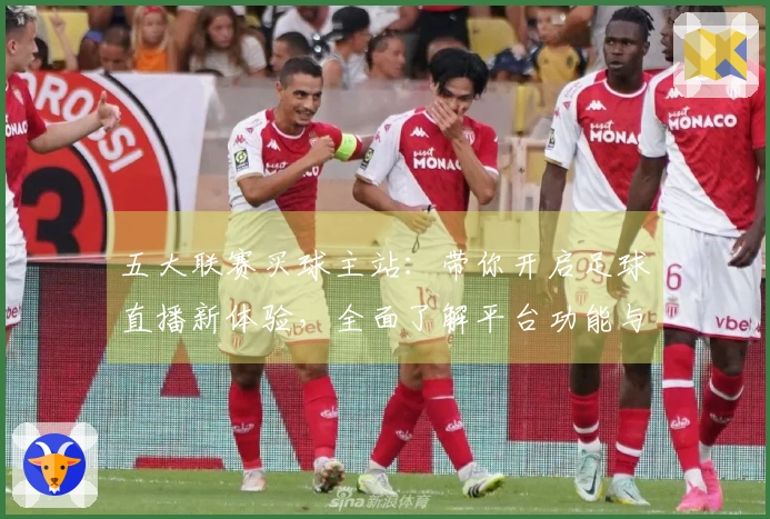 五大联赛买球主站：带你开启足球直播新体验，全面了解平台功能与使用指南