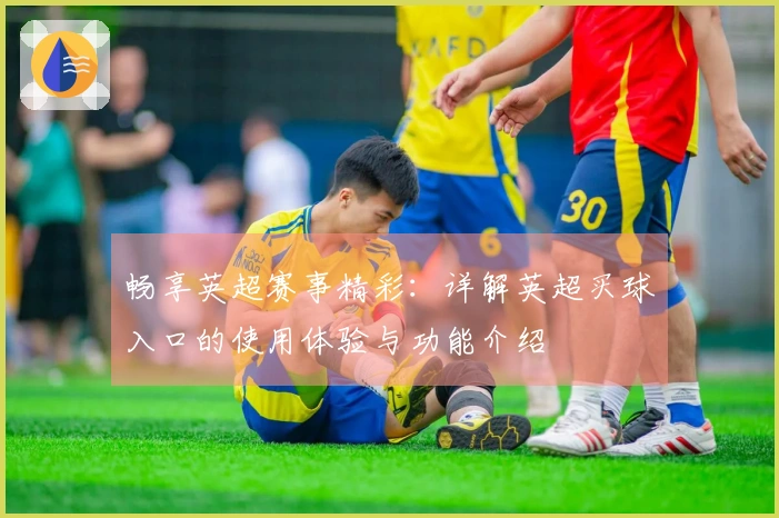 畅享英超赛事精彩：详解英超买球入口的使用体验与功能介绍
