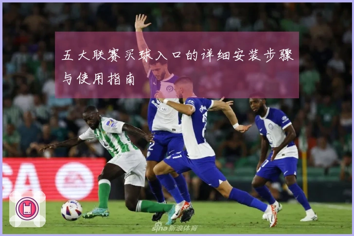 五大联赛买球入口的详细安装步骤与使用指南