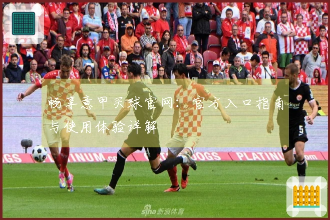 畅享意甲买球官网：官方入口指南与使用体验详解